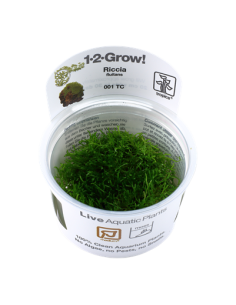 Riccia fluitans 1-2 Grow! Tropica Dinamarca