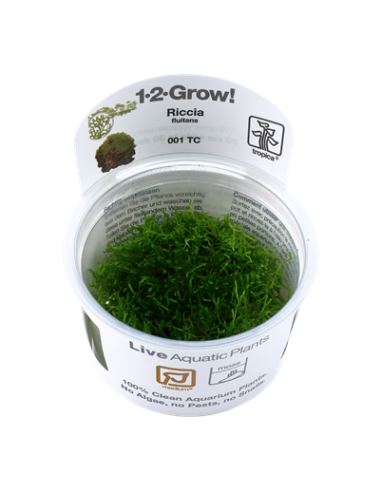 Riccia fluitans 1-2 Grow! Tropica Dinamarca