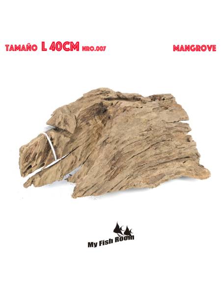 Tronco natural para acuarios Mangrove L pieza única seleccionada y fotografiada
