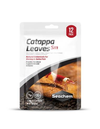 Hojas de almendro indio Catappa leaves Sm Seachem