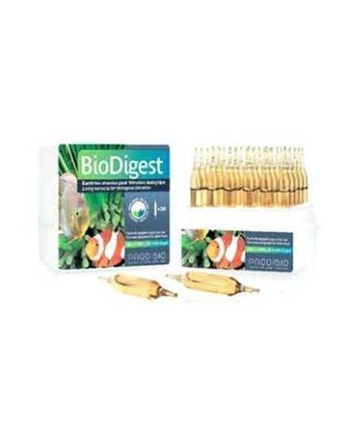 Prodibio BioDigest estándar 1 ampolla