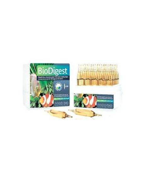 Prodibio BioDigest estándar 1 ampolla
