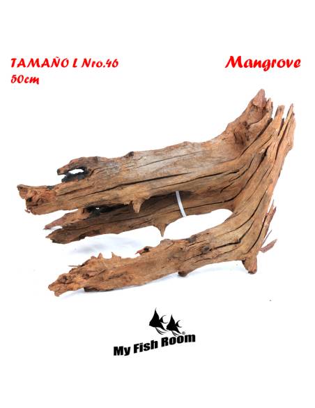 Tronco natural para acuarios Mangrove L pieza única seleccionada y fotografiada