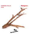 Tronco natural para acuarios Mangrove L pieza única seleccionada y fotografiada