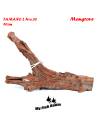 Tronco natural para acuarios Mangrove L pieza única seleccionada y fotografiada