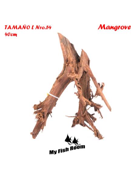 Tronco natural para acuarios Mangrove L pieza única seleccionada y fotografiada
