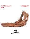 Tronco natural para acuarios Mangrove L pieza única seleccionada y fotografiada