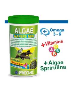 Prodac Algae Wafer Mini pastillas vegetales para peces de fondo como Loricaridos