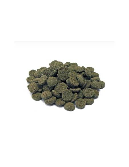 Prodac Algae Wafer Mini pastillas vegetales para peces de fondo como Loricaridos