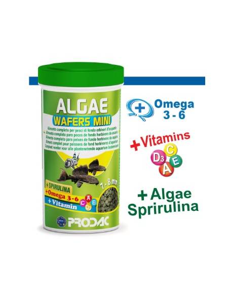 Prodac Algae Wafer Mini pastillas vegetales para peces de fondo como Loricaridos