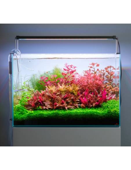 Twinstar Light V 200S (ajustable & colgante) ajustable para acuarios plantados