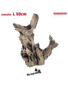 Tronco natural para acuarios Mangrove L pieza única seleccionada y fotografiada