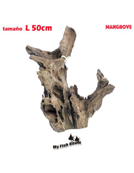 Tronco natural para acuarios Mangrove L pieza única seleccionada y fotografiada
