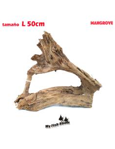 Tronco natural para acuarios Mangrove L pieza única seleccionada y fotografiada