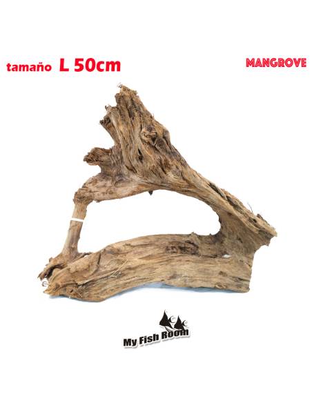 Tronco natural para acuarios Mangrove L pieza única seleccionada y fotografiada