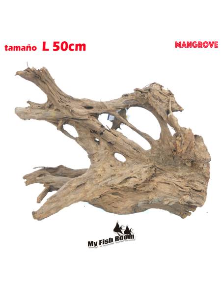 Tronco natural para acuarios Mangrove L pieza única seleccionada y fotografiada