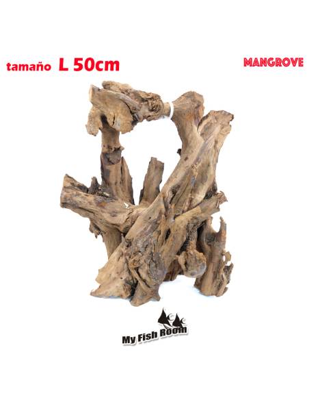 Tronco natural para acuarios Mangrove L pieza única seleccionada y fotografiada