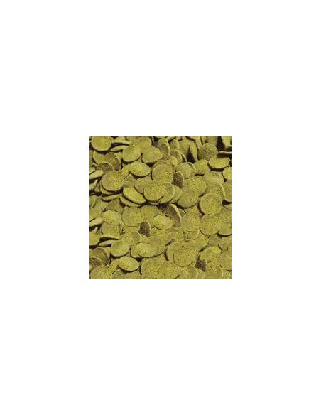 Pleco Chips 250ml SERA nature