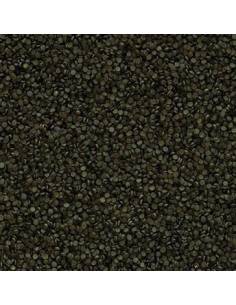 Tropical Spirulina Superforte granulat 2