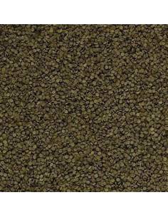 Tropical Spirulina granulat 2