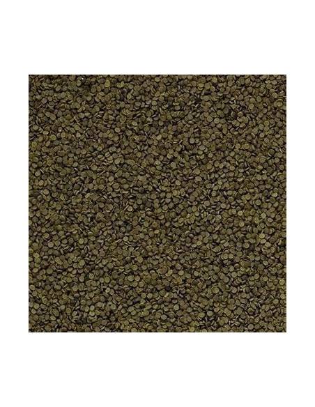 Tropical Spirulina granulat