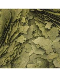Tropical 3-ALGAE flakes 2