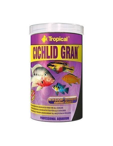 Tropical CICHLID COLOR gran