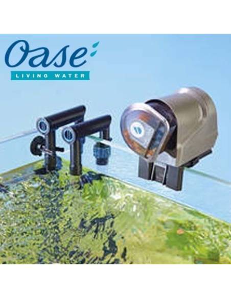 Fishguard - Oase