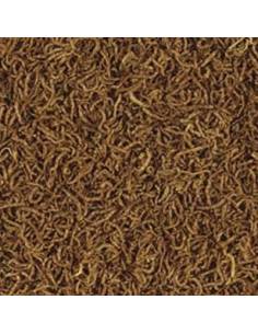 Tropical RED MICO (larva liofilizada) 2