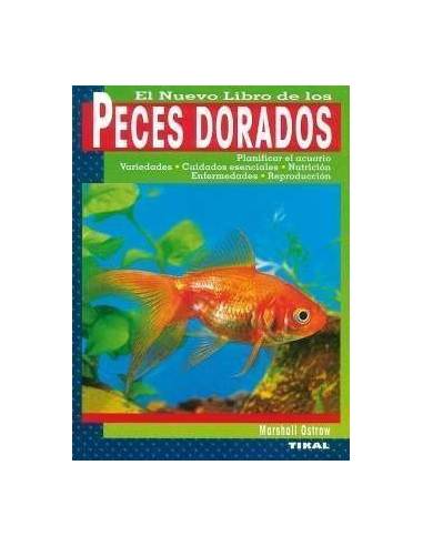 transfusión Suri dignidad Peces Dorados - manual de cuidados de Gold fish de agua fría