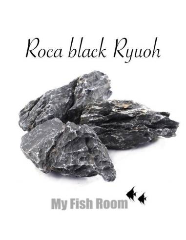 Roca black Ryuoh (Amano)