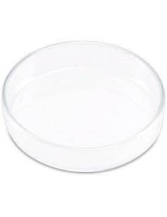 Plato de cristal comedero para gambas