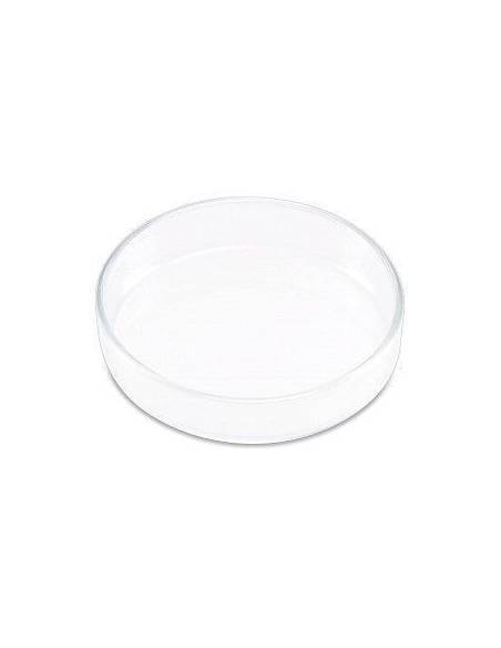 Plato de cristal comedero para gambas