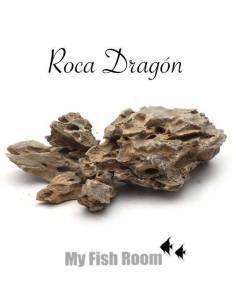 Roca Dragón