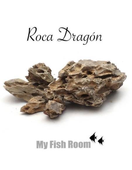 Roca Dragón