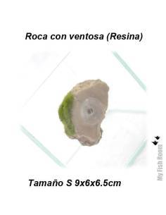 Roca y musgo con ventosa tamaño S (resina) 2