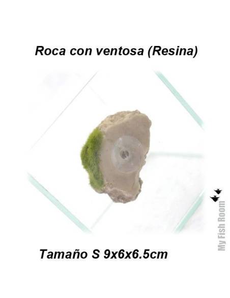 Roca y musgo con ventosa tamaño S (resina)