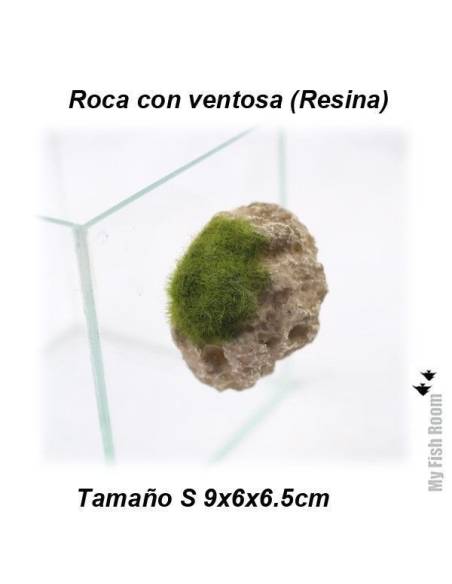 Roca y musgo con ventosa tamaño S (resina)