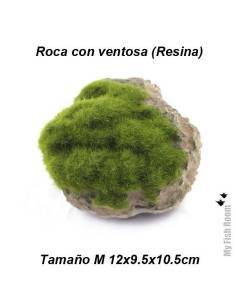 Roca y musgo con ventosa tamaño M (resina)