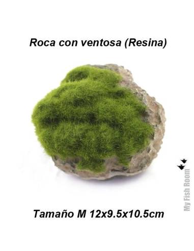 Roca y musgo con ventosa tamaño M (resina)