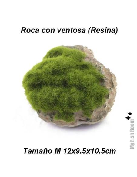 Roca y musgo con ventosa tamaño M (resina)