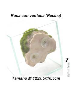Roca y musgo con ventosa tamaño M (resina) 2