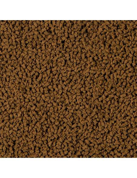 SERA Insect Nature dieta a base de insectos con un 100% de proteínas