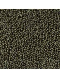 Alimento que potencia los colores para Gold Fish con 10% de espirulina 2