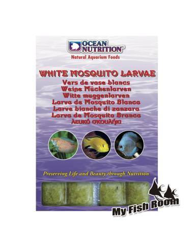 Larva de Mosquito blanca congelada Ocean Nutrition