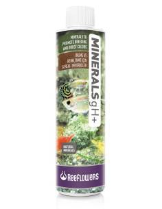 Minerals gH+ acondicionador para elevar la dureza general del agua