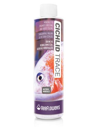 ReeFlowers Cichlid Trace (ciclidos africanos)