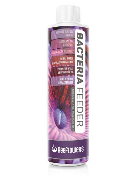 ReeFlowers Bacteria Feeder