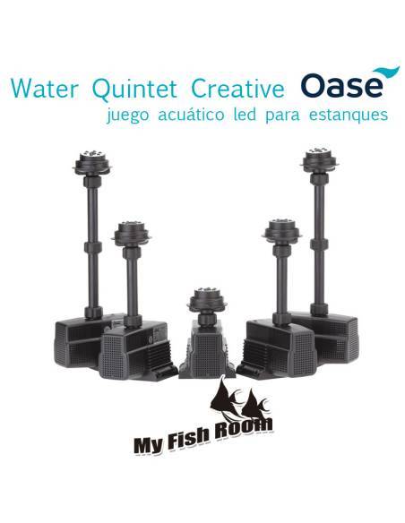 Water Quintet Creative OASE - Fuente led para estanque