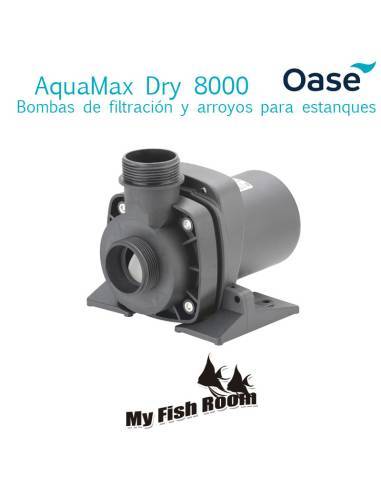 Cómo crear un acuario natural Cómo crear un acuario natural